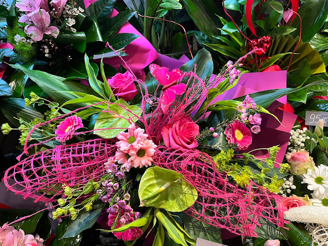 Bronowicka 12a, 30-084 Kraków