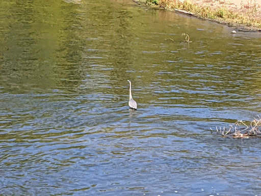 Park «Coon Rapids Dam Regional Park», reviews and photos, 10360 W River Rd, Brooklyn Park, MN 55444, USA