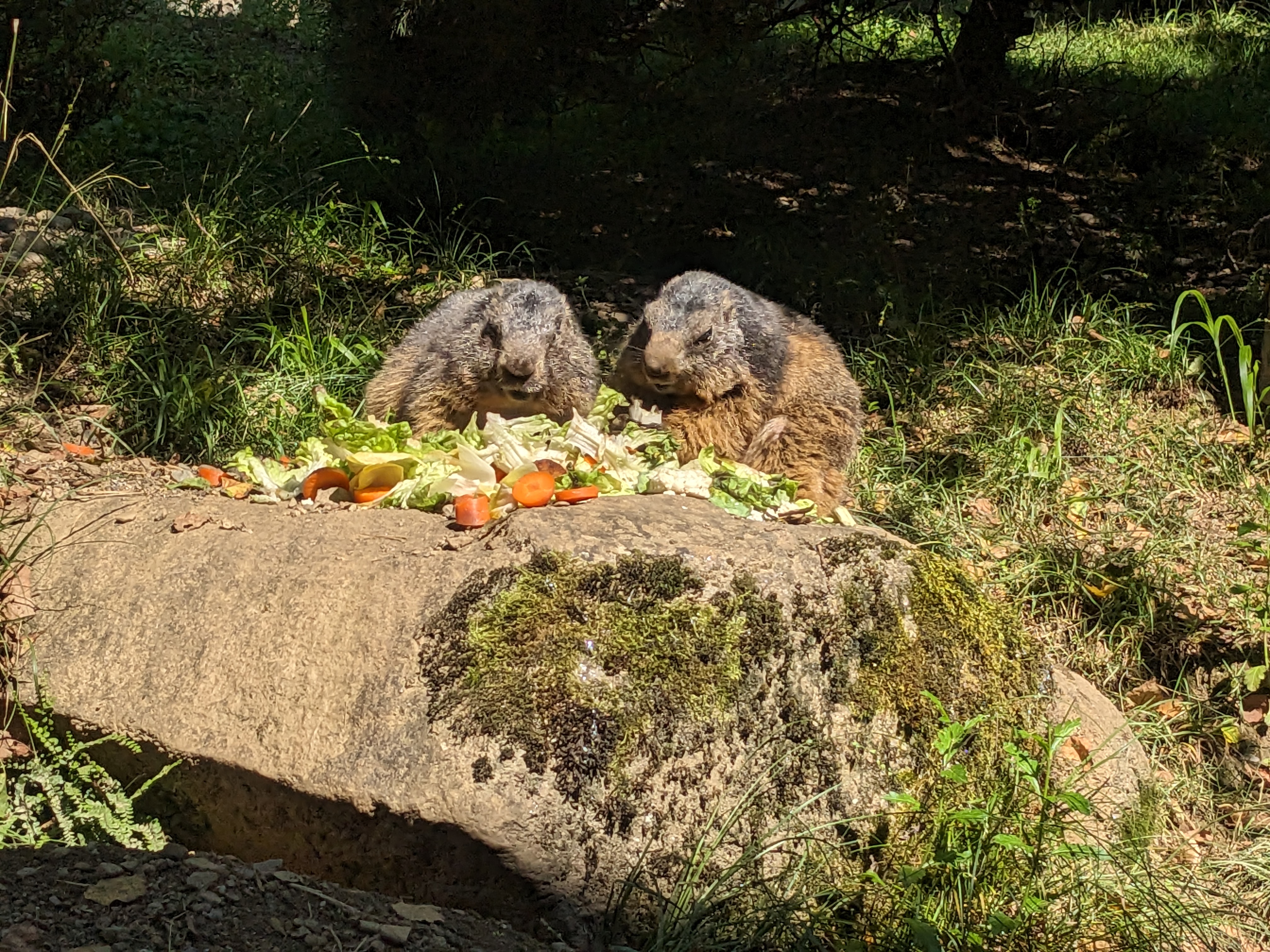 Photo n° 1 de l'avis de mathilde.a fait le 16/07/2023 à 19:21