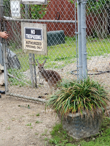 Freight Forwarding Service «YRC Freight 422», reviews and photos, 7300 Centennial Blvd, Nashville, TN 37209, USA