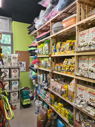 Guapets de l'Anoia - Igualada