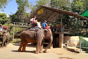 Phuket Elephant Ride Limited Partnership image