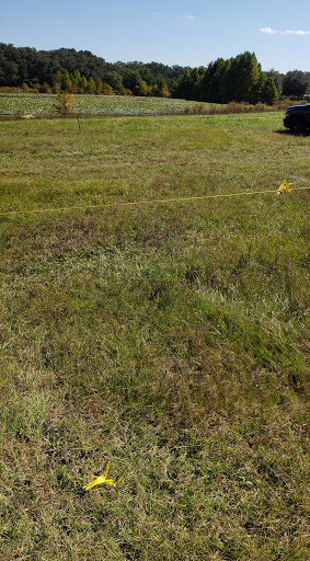 Event Venue «Club Lake Plantation Wedding Venue», reviews and photos, 3403 Rock Springs Rd, Apopka, FL 32712, USA