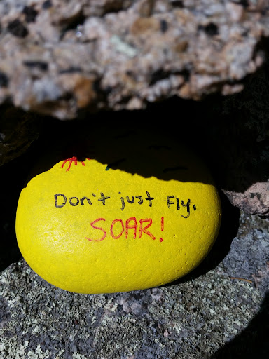 Bicycle Store «Dover Cyclery LLC», reviews and photos, 12 Chestnut St, Dover, NH 03820, USA