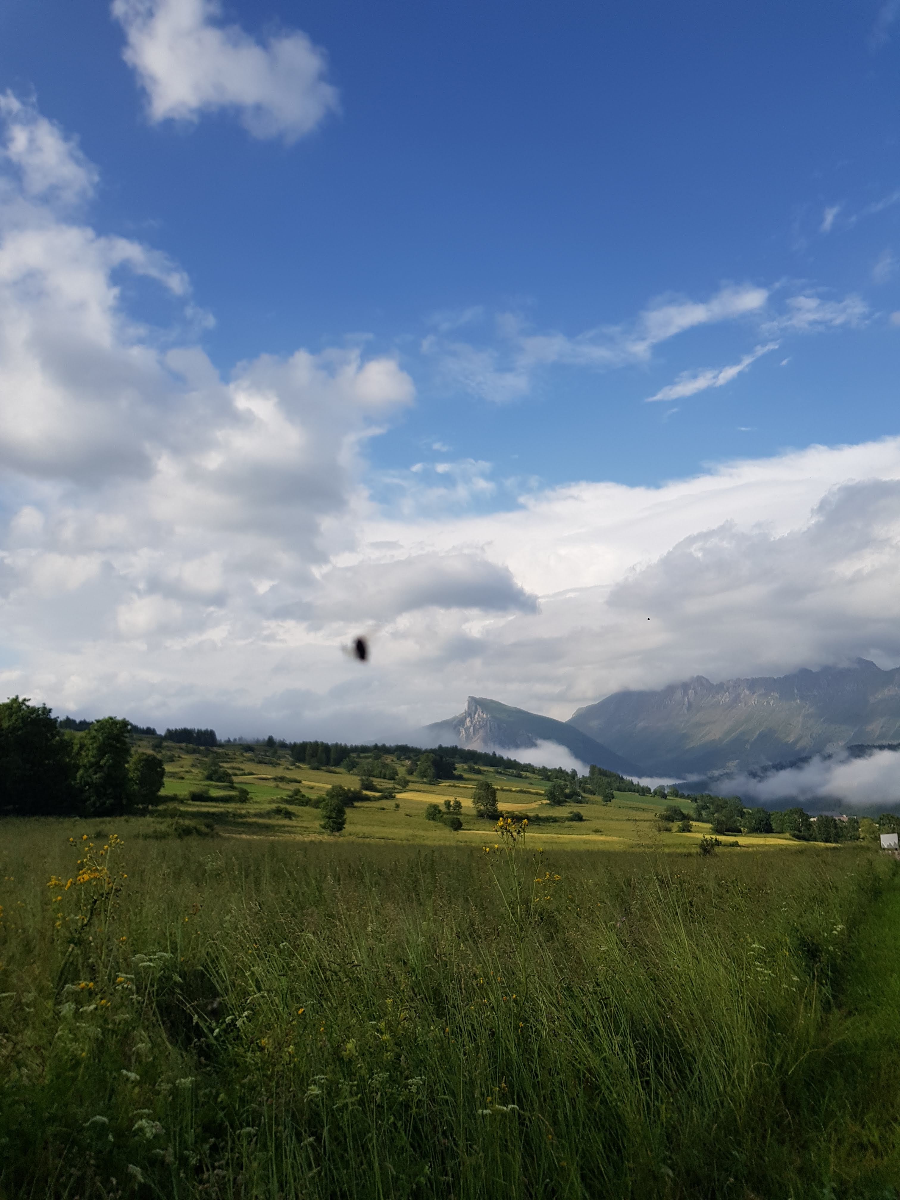 Photo n° 2 de l'avis de Raphaël.i fait le 25/06/2023 à 16:44