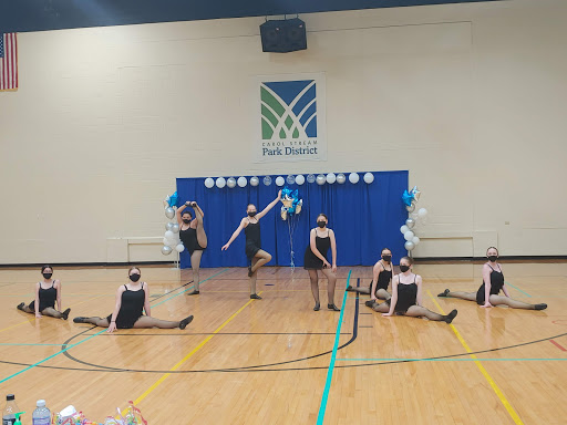 Recreation Center «Simkus Recreation Center», reviews and photos, 849 W Lies Rd, Carol Stream, IL 60188, USA