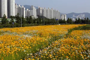 Hwamyeong Ecological Park image