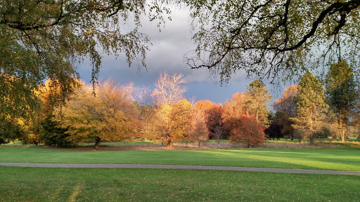 Golf Course «Mint Valley Golf Course», reviews and photos, 4002 Pennsylvania St, Longview, WA 98632, USA