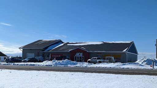 NAPA Auto Parts and Ace Hardware