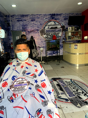 Domimicano profesional Barber - Tacna