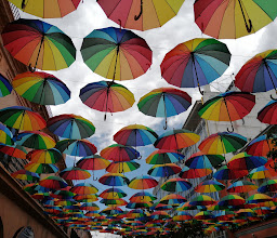 Andador constitución photo