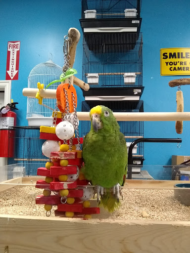 Pet Store «Pets & Such», reviews and photos, 3680 3500 S, West Valley City, UT 84120, USA