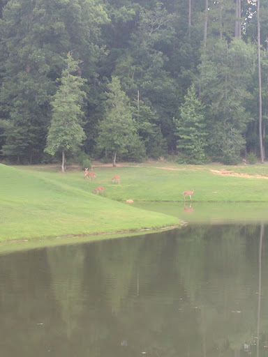 Golf Course «Twin Lakes Golf Course», reviews and photos, 648 Willow Way, Chapel Hill, NC 27516, USA