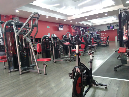 Snap Fitness Alamedas