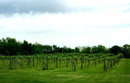 Winery «Wight Vineyards & Winery», reviews and photos, 340 Meyer Dr, Shepherdsville, KY 40165, USA