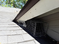 Iconic Pest Solutions - Photo 7 - Car repair in , Fort Collins