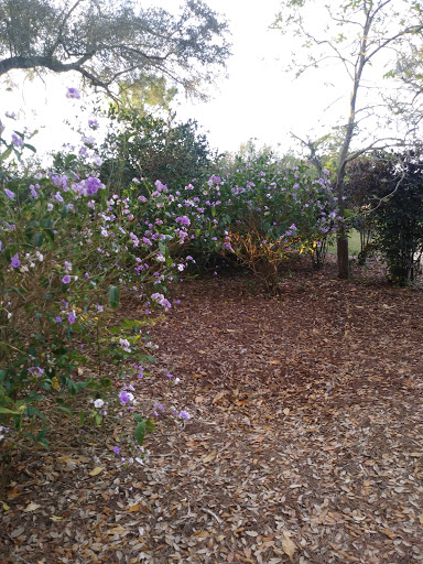 Private Golf Course «Adios Golf Course», reviews and photos, 7740 NW 39th Ave, Coconut Creek, FL 33073, USA