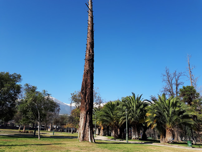 Opiniones de Parque Gandarillas, Las Condes en Las Condes - Museo