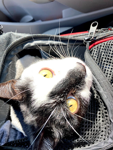 15 37th Ave, San Mateo, CA 94403, USA