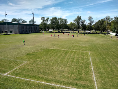 Club Social Y Deportivo Pintita