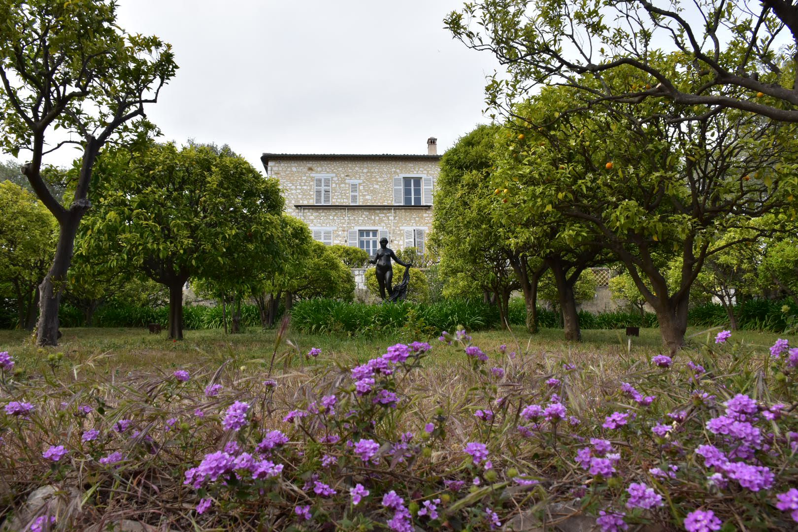 Photo n° 11 de l'avis de Muriel.e fait le 29/04/2023 à 17:13