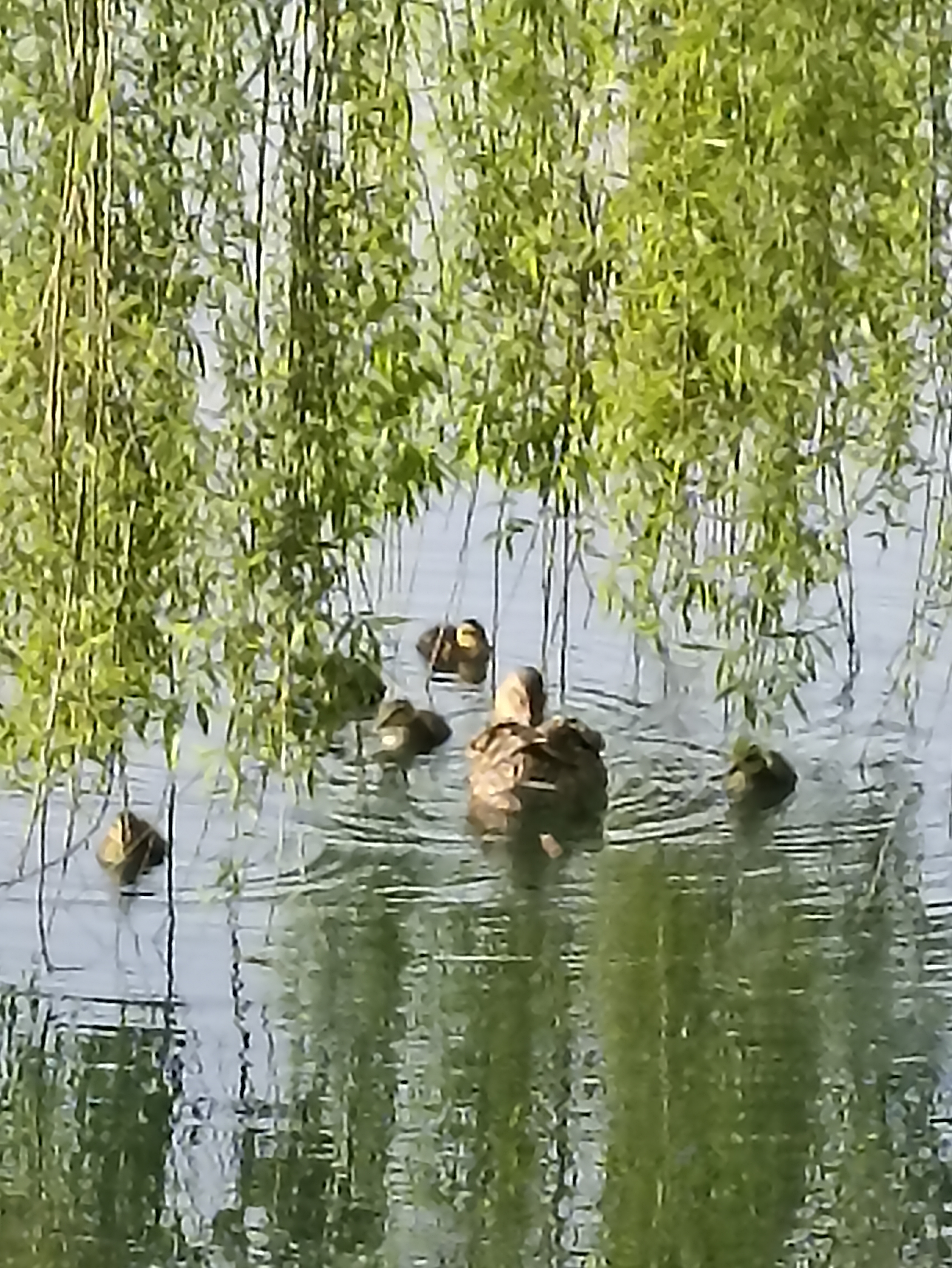 Photo n° 8 de l'avis de Niko.a fait le 15/05/2022 à 20:12