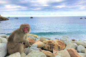 Hagachizaki Monkey Bay image