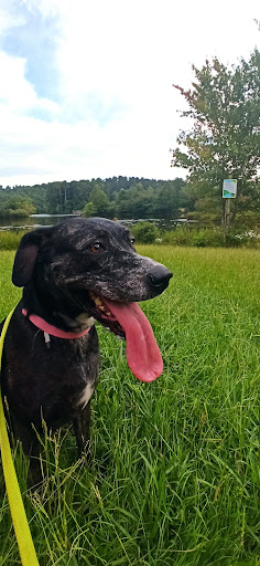 Park «Little Mulberry Park», reviews and photos, 3855 Hog Mountain Rd, Hoschton, GA 30548, USA