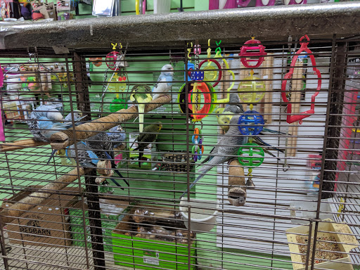 Tropical Fish Store «Caribbean Pets», reviews and photos, 298 Central Ave, Jersey City, NJ 07307, USA