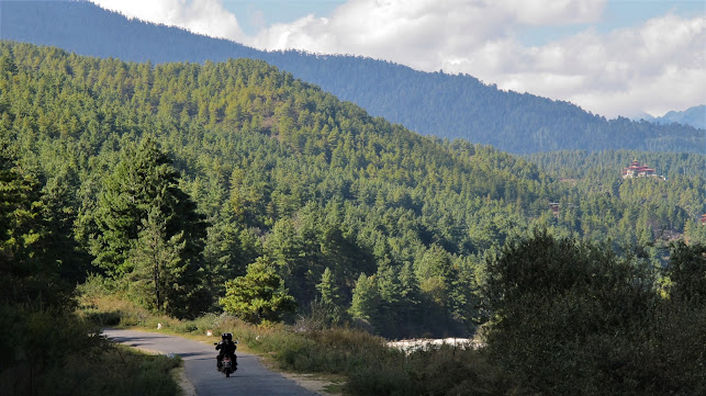 Vibekegade 10, st. tv, 2100 København