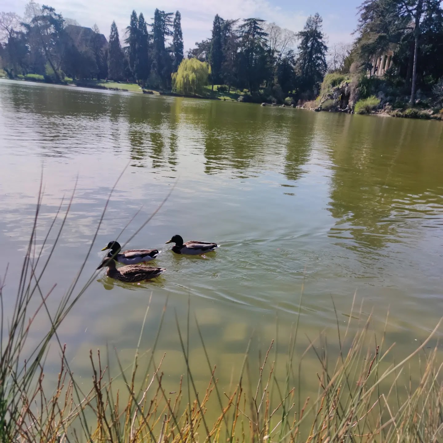 Photo n° 1 de l'avis de Javier.l fait le 20/03/2022 à 12:48