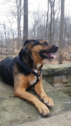 National Park «Friendship Hill National Historic Site», reviews and photos, 223 New Geneva Road, Point Marion, PA 15474, USA