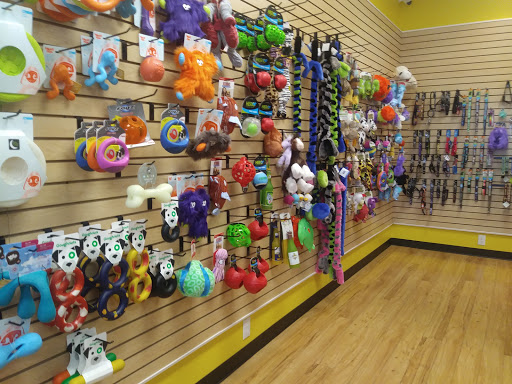 Pet Supply Store «Dog Krazy, Inc.», reviews and photos, 10681 Spotsylvania Ave, Fredericksburg, VA 22408, USA