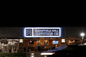 Tarantula Hill Brewing Co. image