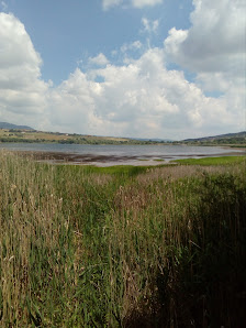 Oasi WWF lago Pantano di Pignola 85010 Pignola PZ, Italia