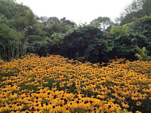 Park «Back Bay Fens», reviews and photos, 100 Park Dr, Boston, MA 02215, USA