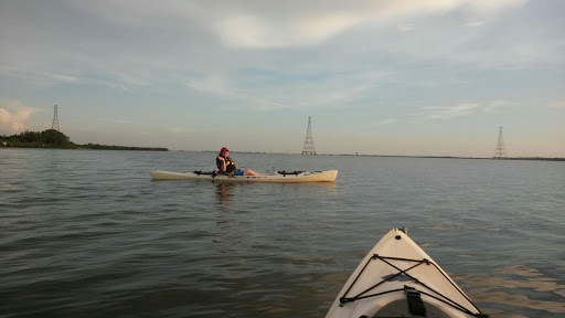Nature Preserve «Mobbly Bayou Wilderness Preserve», reviews and photos, 423 Lafayette Blvd, Oldsmar, FL 34677, USA