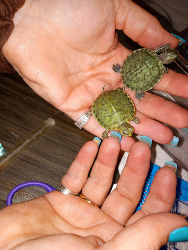 Pet Supply Store «PetSmart», reviews and photos, 1331 Nixon Dr, Moorestown, NJ 08057, USA