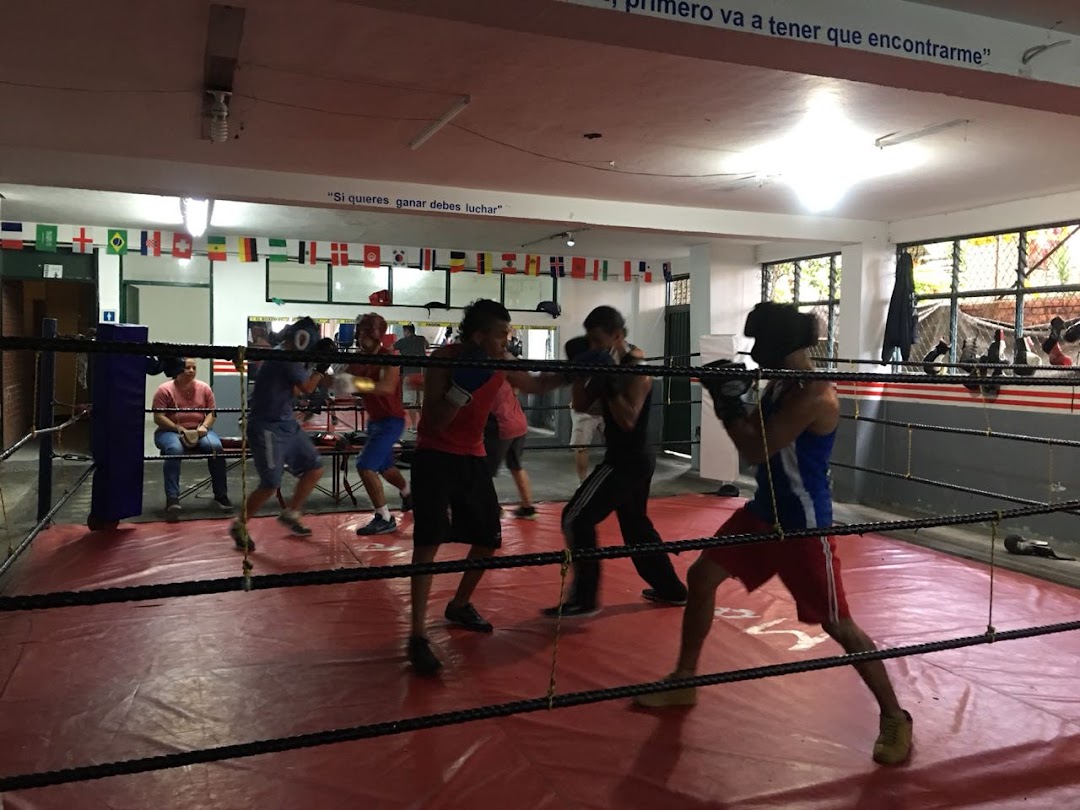 Liga Risaraldense de Boxeo