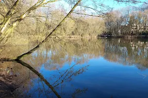 Park am Kupferteich image