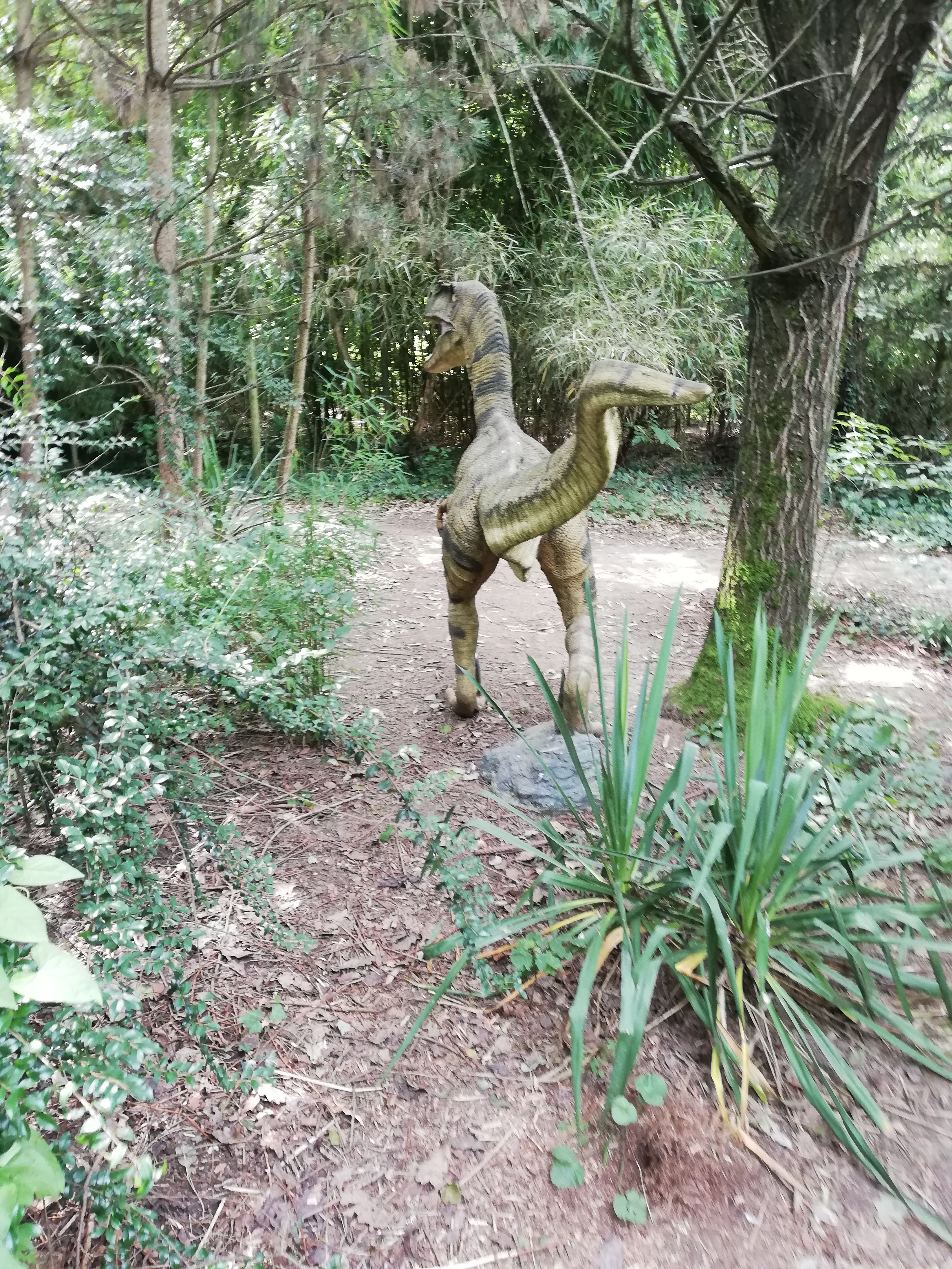 Photo n° 8 de l'avis de Ophelie.h fait le 24/07/2021 à 15:47
