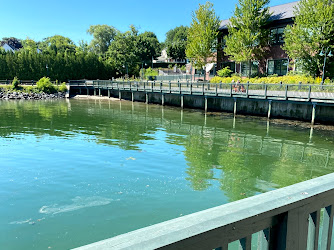 Rockland Harbor Trail