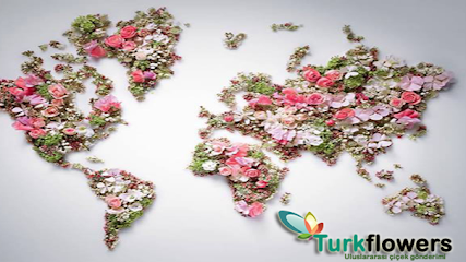 Konya çiçekçi - Türkflowers