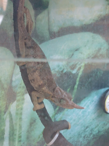 Pet Supply Store «Petco Animal Supplies», reviews and photos, 801 W Lake Ave, Peoria, IL 61614, USA