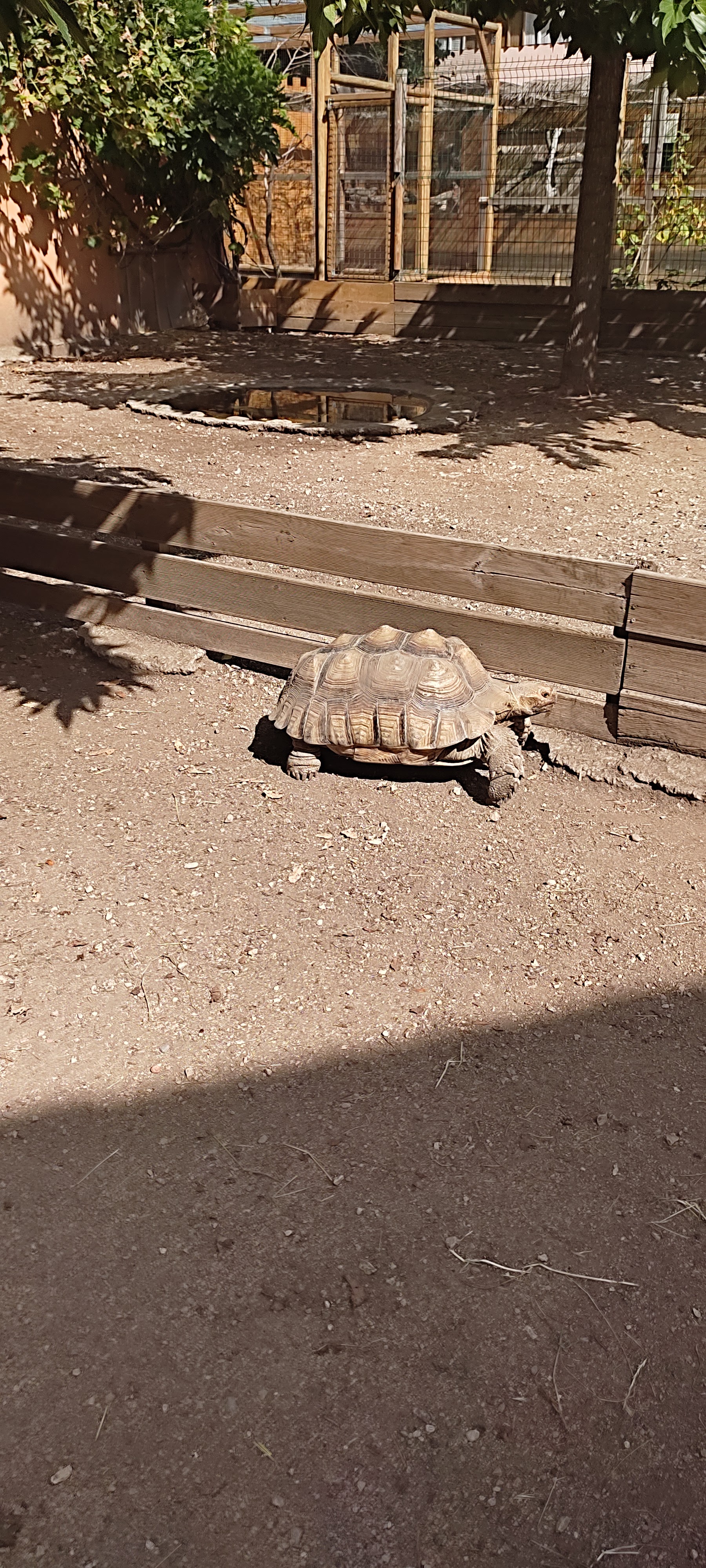 Photo n° 15 de l'avis de Astrid.i fait le 17/09/2021 à 13:14