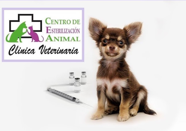 Opiniones de CLINICA VETERINARIA "CEA" CENTRO DE ESTERILIZACION ANIMAL en Quito - Veterinario