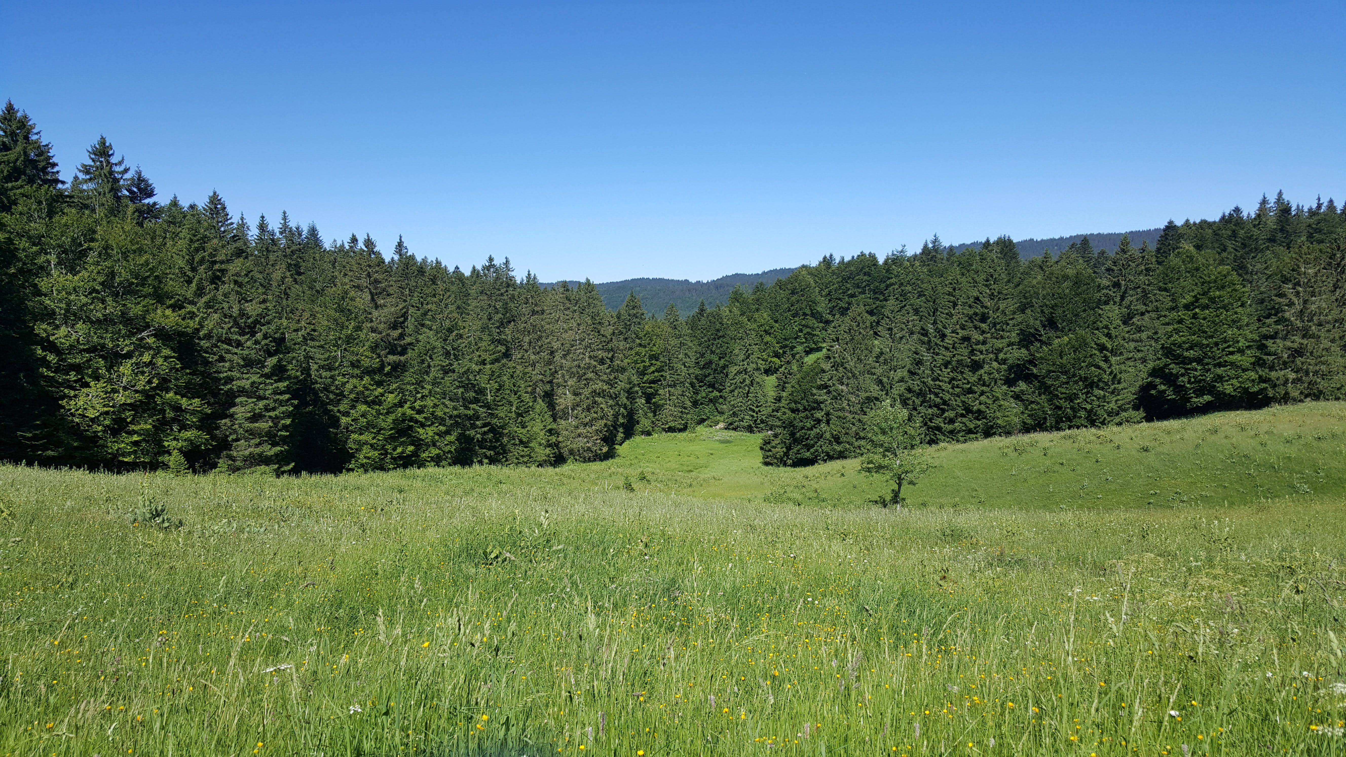 Photo n° 3 de l'avis de Valérie.a fait le 28/06/2018 à 14:20
