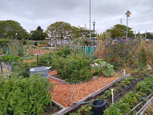 Torrance Community Garden