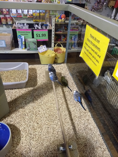 Pet Store «Incredible Pets Inc», reviews and photos, 2255 N Wickham Rd # 102, Melbourne, FL 32935, USA