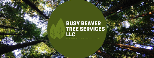 Busy Beaver Tree Services LLC